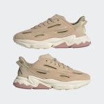 adidas-x-raf-simons-ozweego GW5743