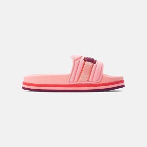 Fila Morro Bay Zeppa Lounge Slipper Wmn flamingo / pink (FFW0047-40002)