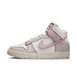 nike-dunk DQ8799-100