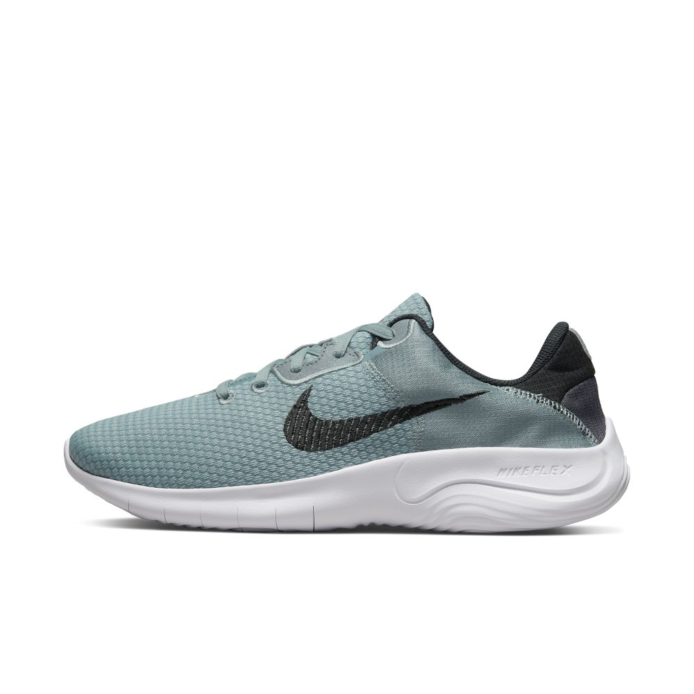 Nike Flex Experience Run 11 Next Nature Grau (DD9284-007)
