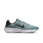 nike-flex DD9284-007