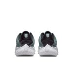 nike-flex DD9284-007