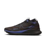 nike-air-pegasus FB2193-200