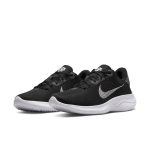 nike-flex DD9283-001