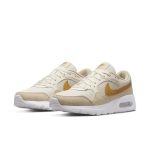 nike-air-max CW4554-004