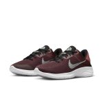 nike-flex DD9283-601