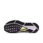 nike-air-pegasus DJ7929-500