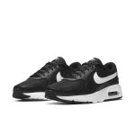 nike-air-max CW4554-001