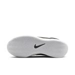 nikecourt DH3234-092