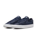 nike-zoom DM8890-400