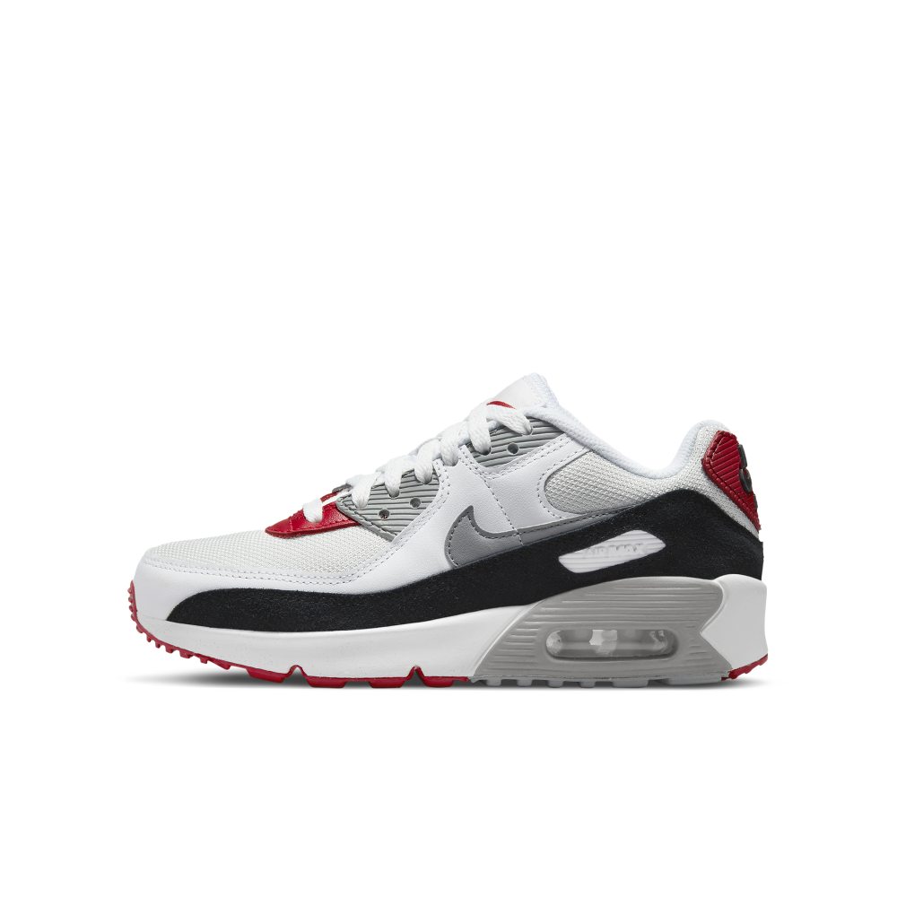 Nike Air Max 90 LTR Grau (CD6864-019)