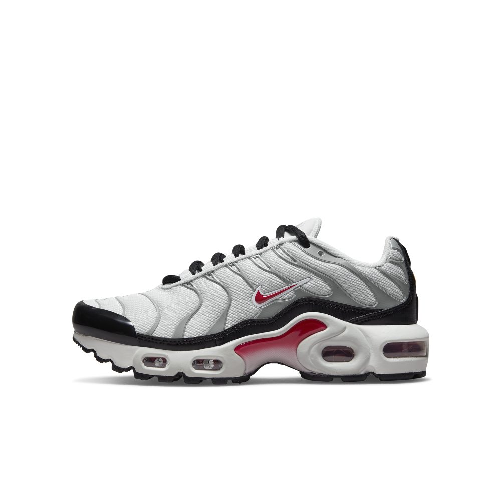 Nike Air Max Plus Grau (CD0609-017)