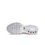 nike-air-max CW7044-100