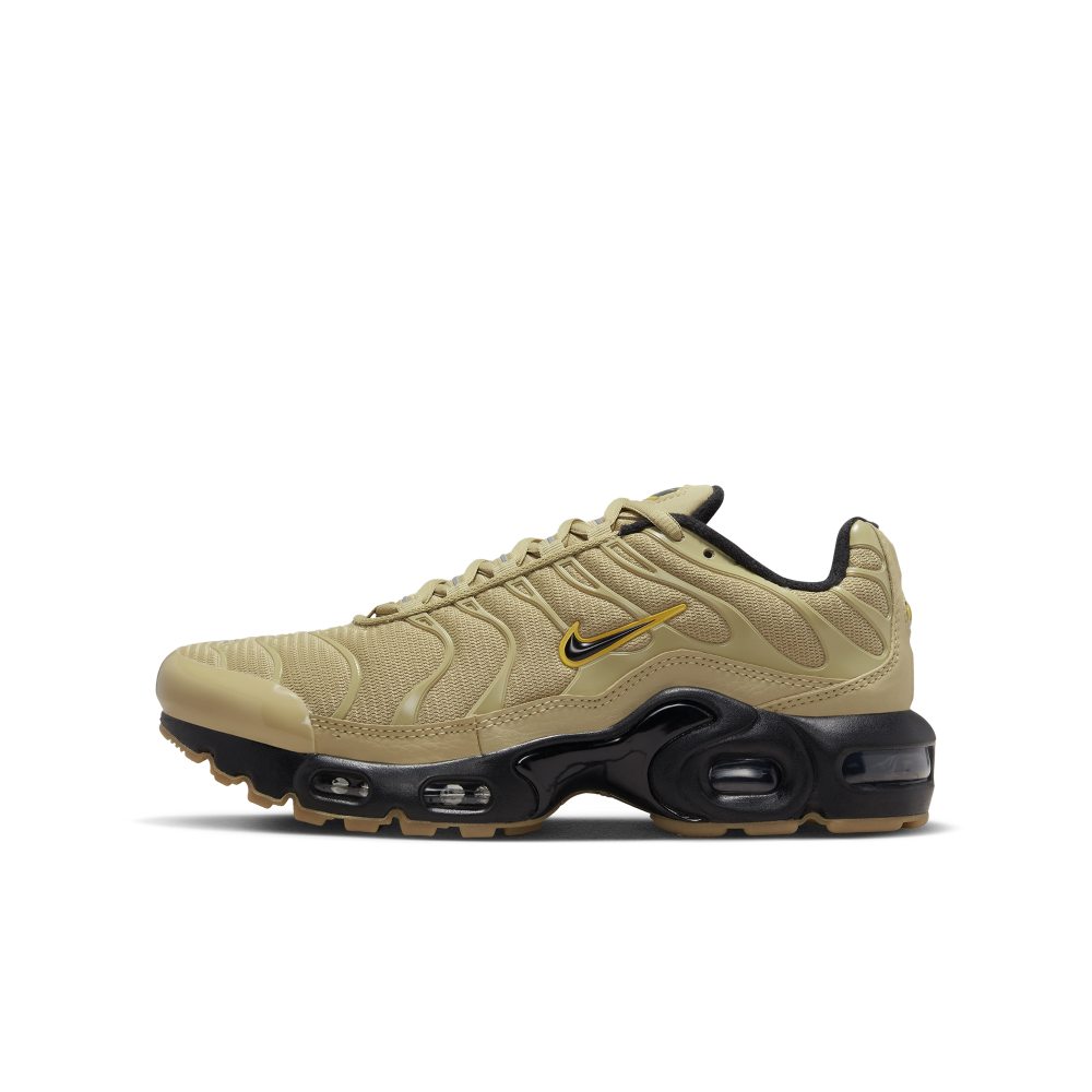 Nike Air Max Plus Braun (DZ6308-700)