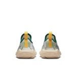 nike-flex DQ0575-100