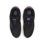 nike-air-max DX3091-001