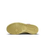 nike-dunk DZ5638-500
