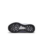 nike-revolution DD1095-411