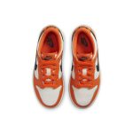 nike-dunk DH9756-003