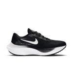 nike-zoom DM8968-001