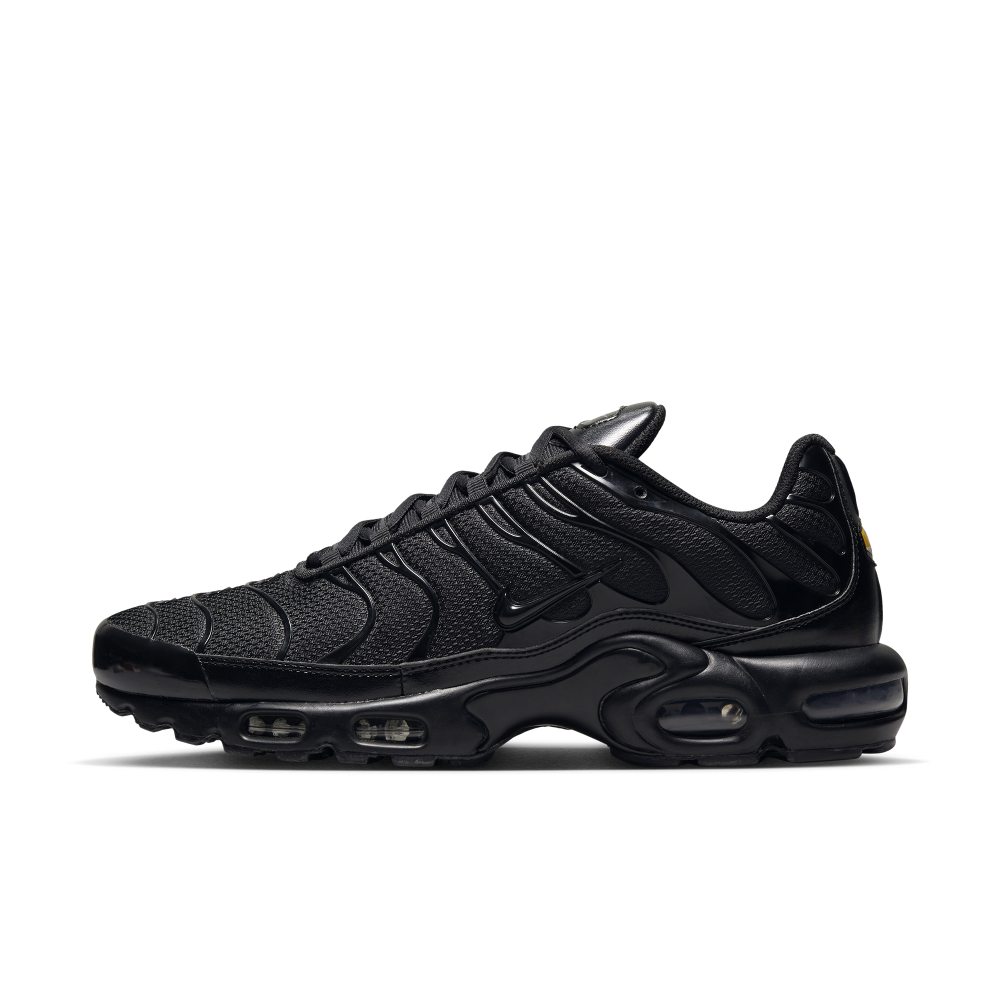 Nike Air Max Plus Schwarz (604133-050)