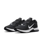 nike-air-max CW3396-004