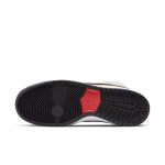 nike-sb-sneaker DO9394-100