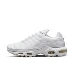 nike-air-max AJ2029-100