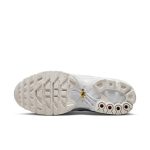nike-air-max AJ2029-100