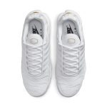nike-air-max AJ2029-100