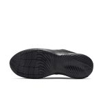 nike-flex DD9284-002