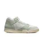 air-jordan-trainer-1 DX4462-300