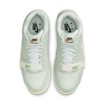 air-jordan-trainer-1 DX4462-300