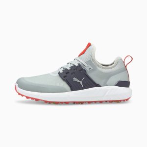 Puma IGNITE ARTICULATE Herren Golfschuhe Silber/Blau/Grau (376078-04)