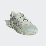 adidas-x-raf-simons-ozweego GW6802