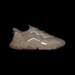 adidas-x-raf-simons-ozweego EE6462