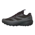 Arc’teryx Norvan LD 3 GTX Shark / Void (X000006891-SHARK/VOID)