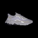 adidas-x-raf-simons-ozweego EE7773